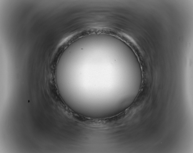 X0000086250823200704121950