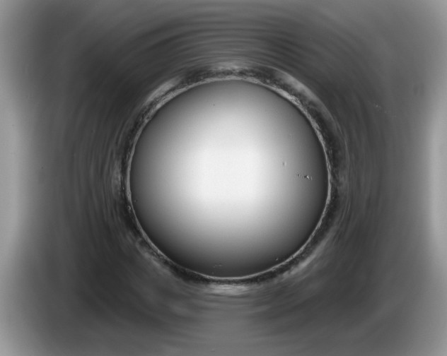 X0000086250825200704121950
