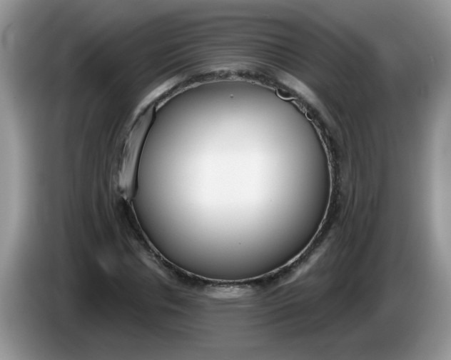X0000086250826200704121950