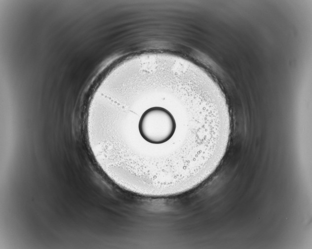 X0000086250828200704121950