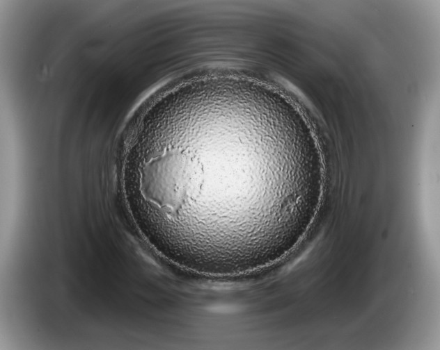 X0000086250829200704121950