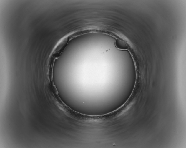 X0000086250830200704121950