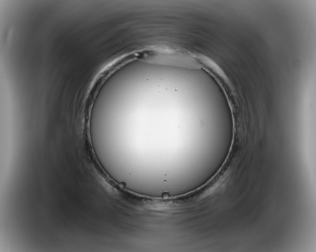 X0000086250831200704121950