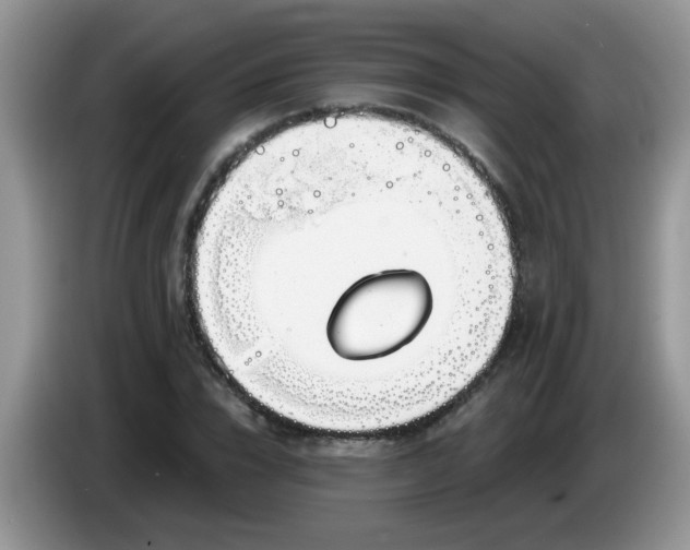 X0000086250832200704121950