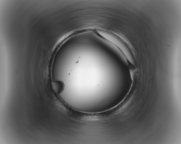 X0000086250834200704121950