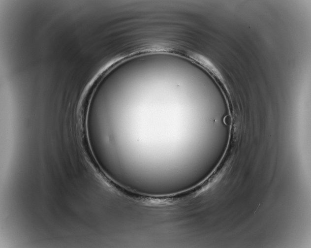 X0000086250835200704121950