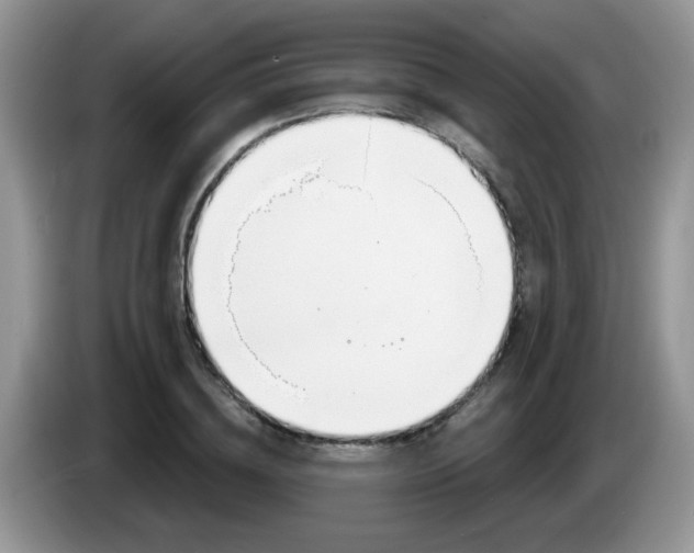 X0000086250836200704121950