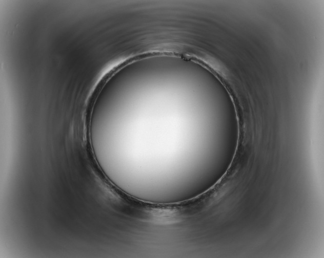 X0000086250838200704121950