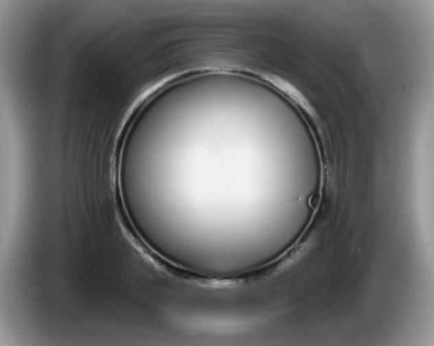 X0000086250839200704121950