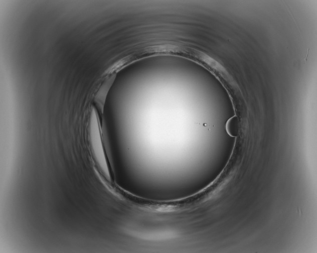 X0000086250841200704121950