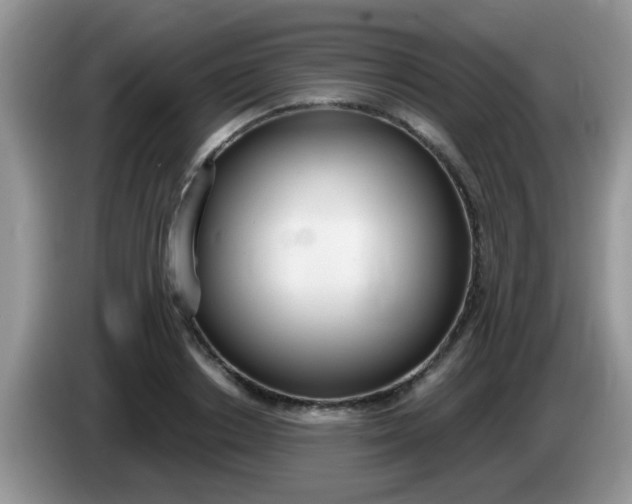 X0000086250842200704121950