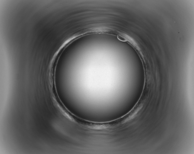 X0000086250843200704121950