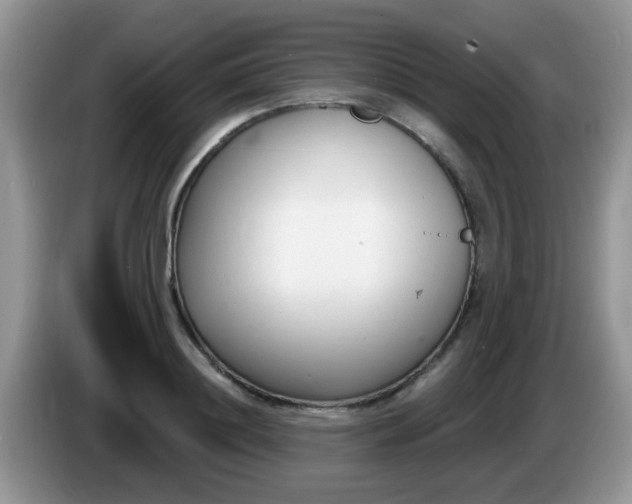 X0000086250844200704121950