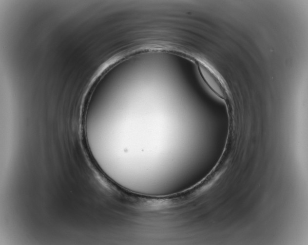 X0000086250845200704121950