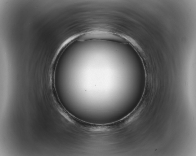 X0000086250846200704121950