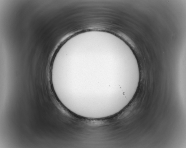 X0000086250848200704121950