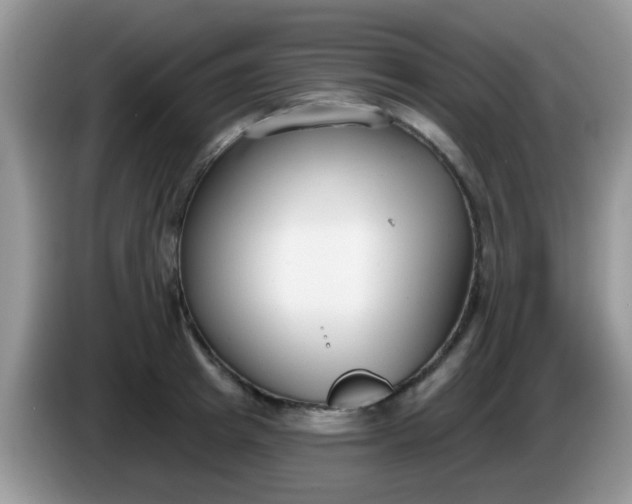 X0000086250849200704121950