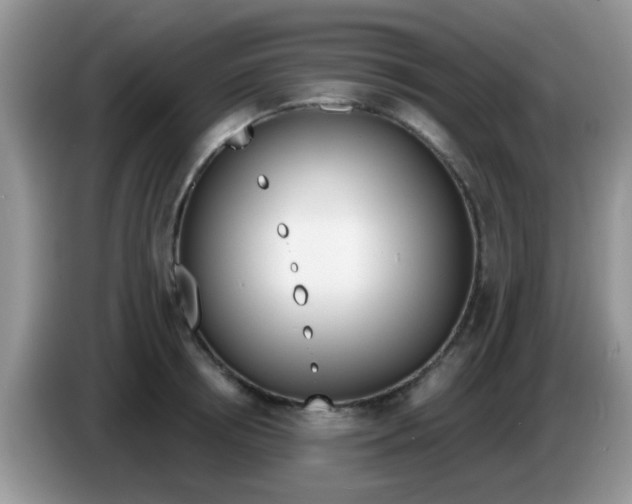 X0000086250850200704121950
