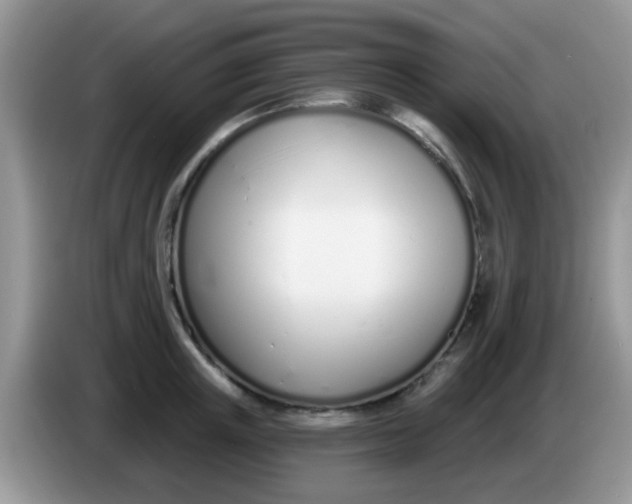 X0000086250851200704121950