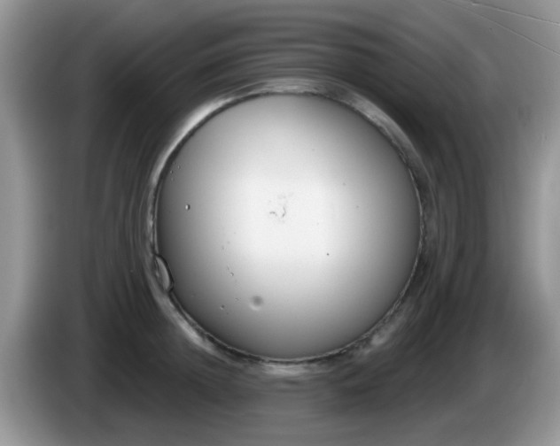 X0000086250852200704121950
