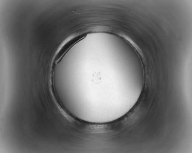 X0000086250853200704121950