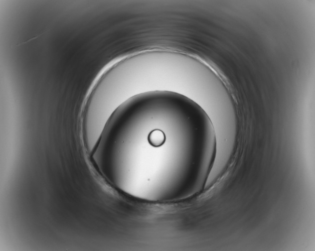 X0000086250854200704121950