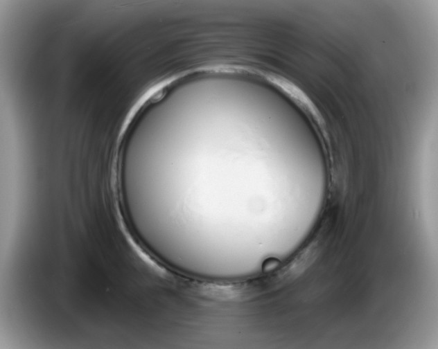 X0000086250855200704121950