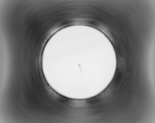 X0000086250856200704121950
