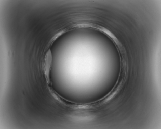 X0000086250857200704121950