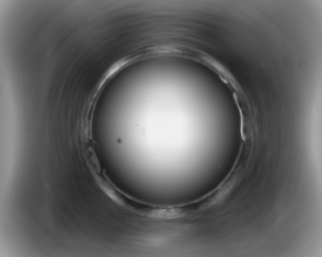 X0000086250858200704121950