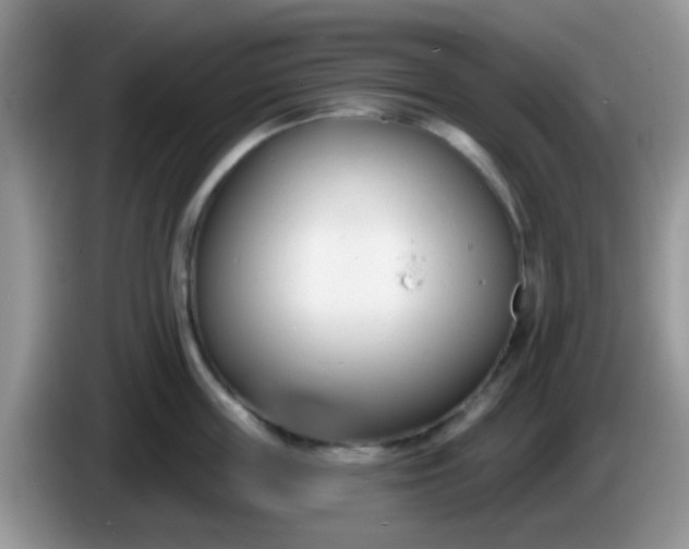 X0000086250859200704121950