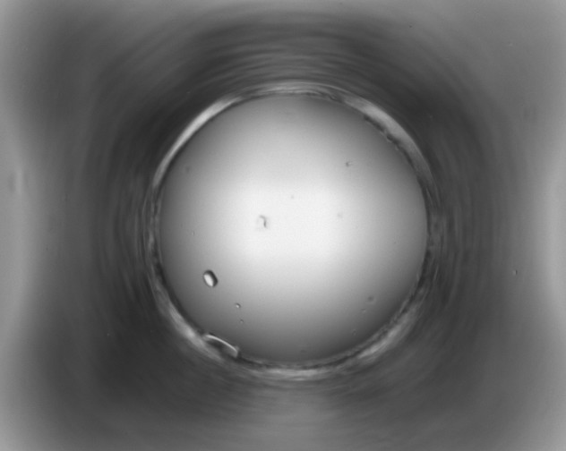 X0000086250860200704121950
