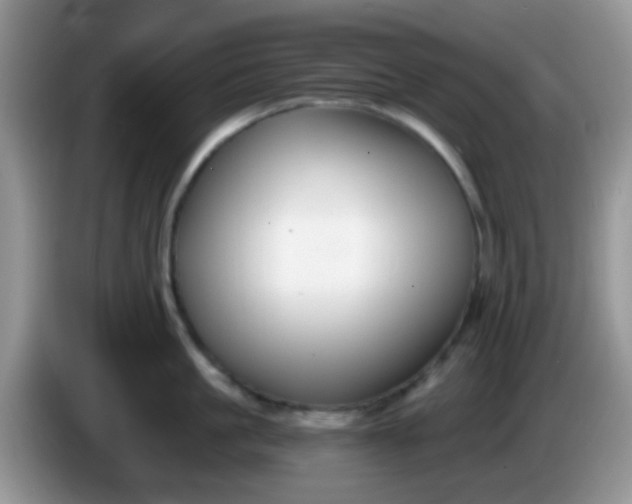 X0000086250861200704121950