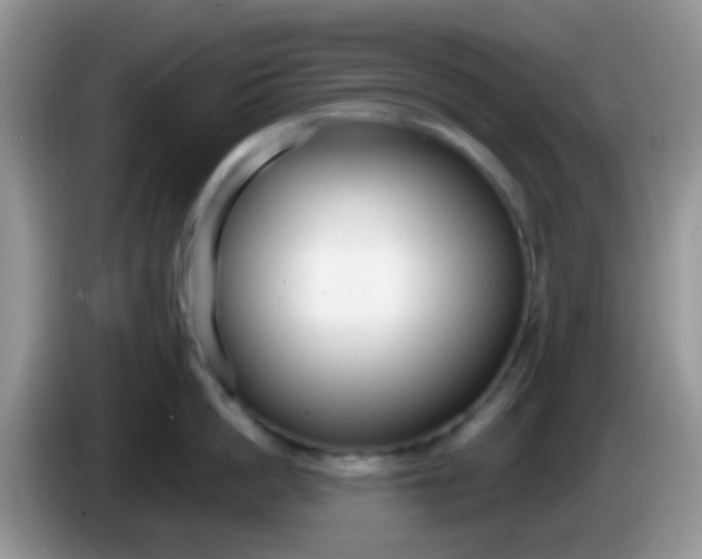 X0000086250862200704121950