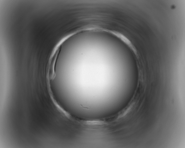 X0000086250863200704121950