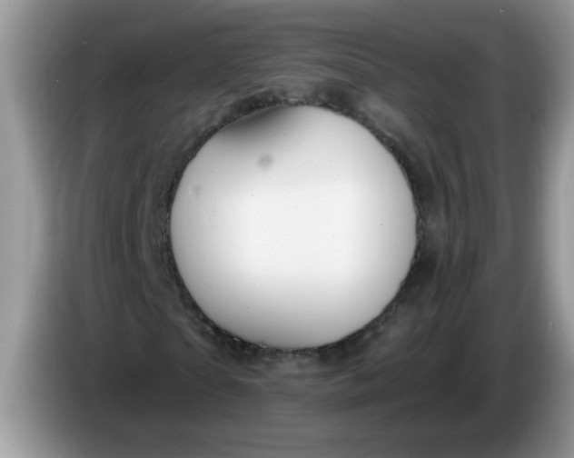 X0000086250865200704121950