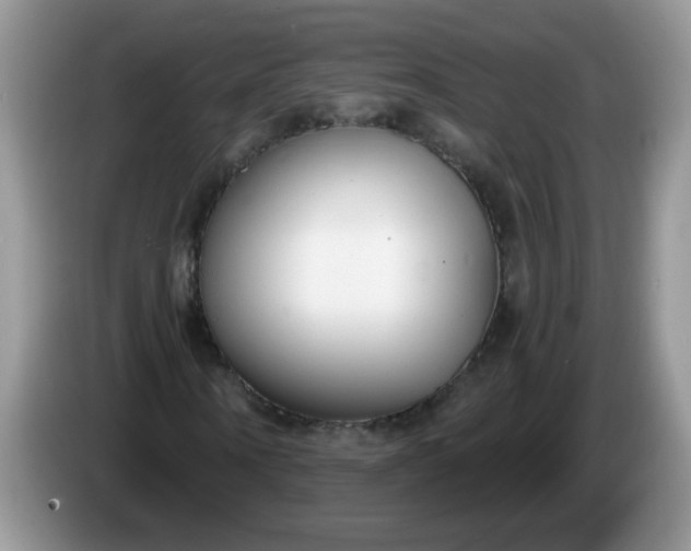 X0000086250866200704121950