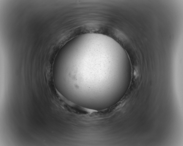 X0000086250867200704121950