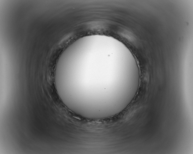 X0000086250869200704121950