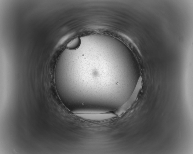 X0000086250871200704121950