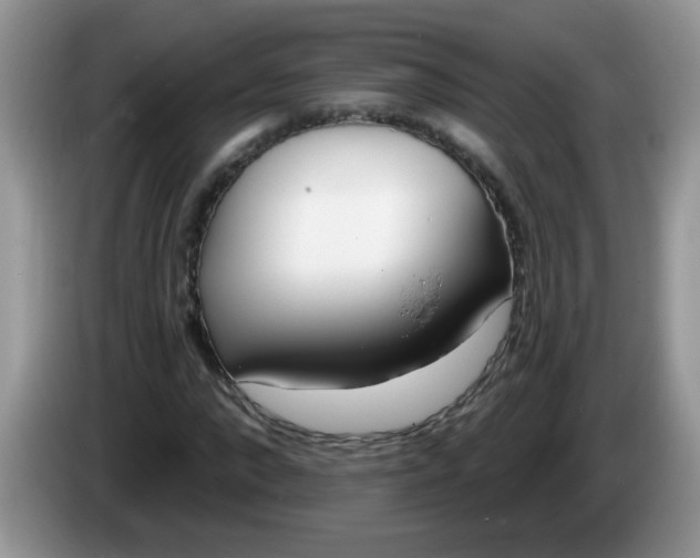 X0000086250872200704121950
