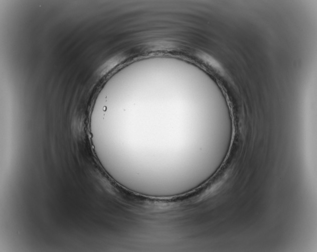 X0000086250873200704121950