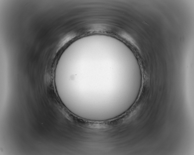 X0000086250874200704121950