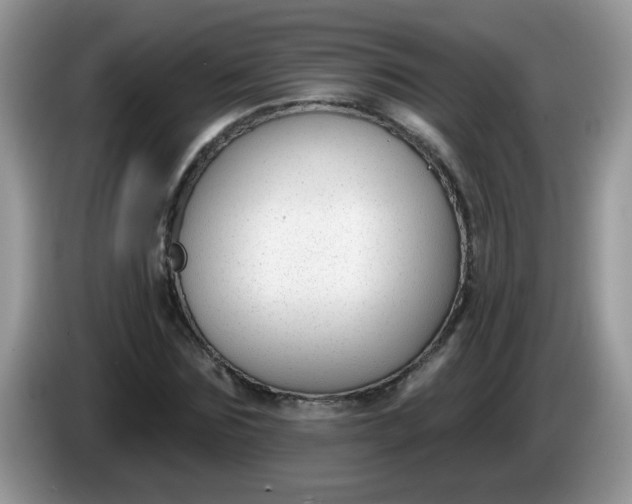 X0000086250875200704121950