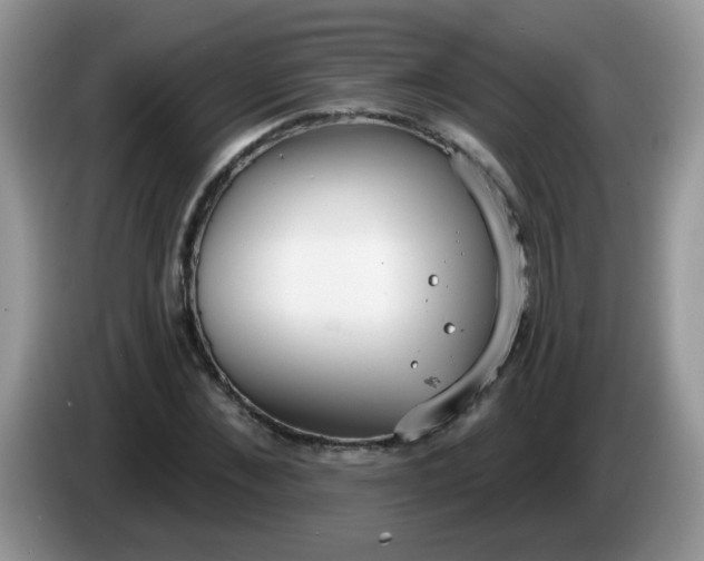 X0000086250876200704121950