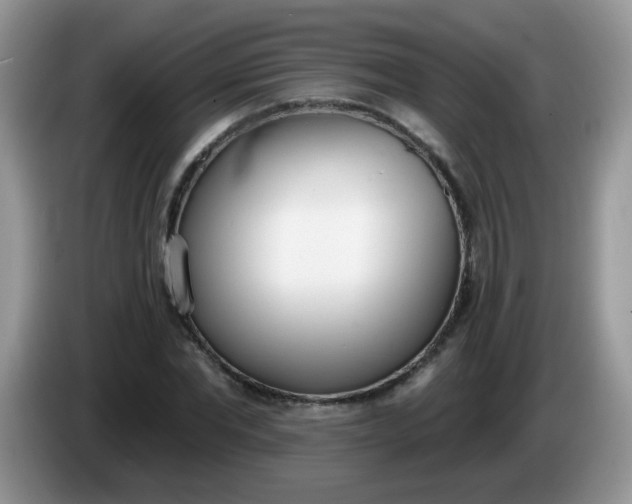 X0000086250877200704121950