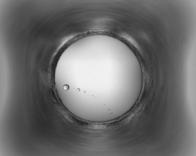 X0000086250878200704121950