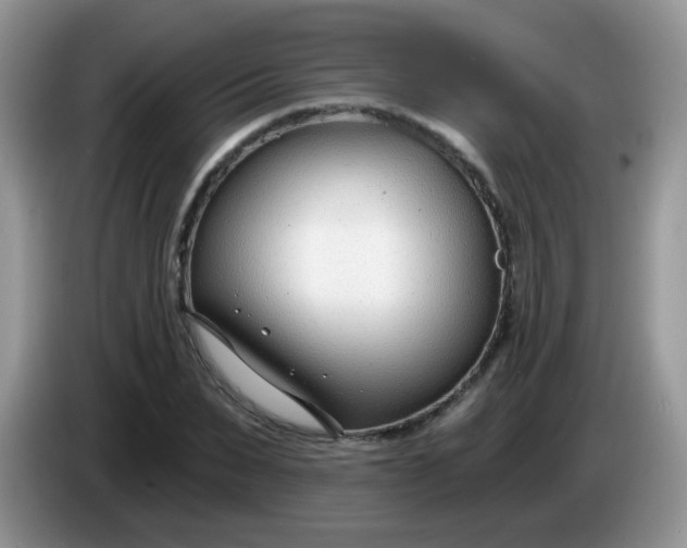 X0000086250879200704121950