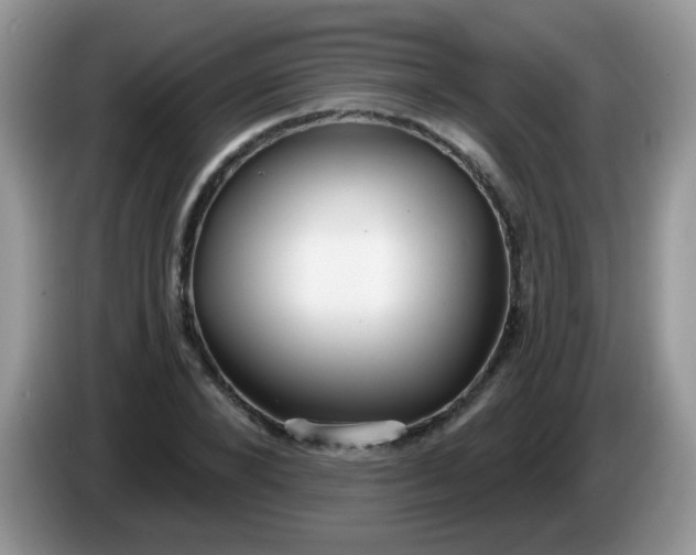 X0000086250880200704121950