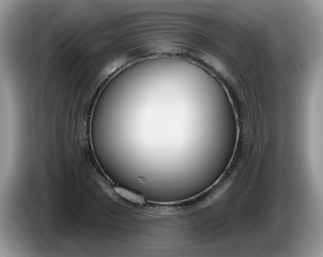 X0000086250881200704121950